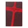 Biblia Mediana Letra Grande - RVR60